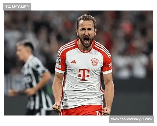 哈里凯恩崛起之路揭示成功秘诀五大关键因素全面解析